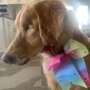 Meet your Posher, Kyla